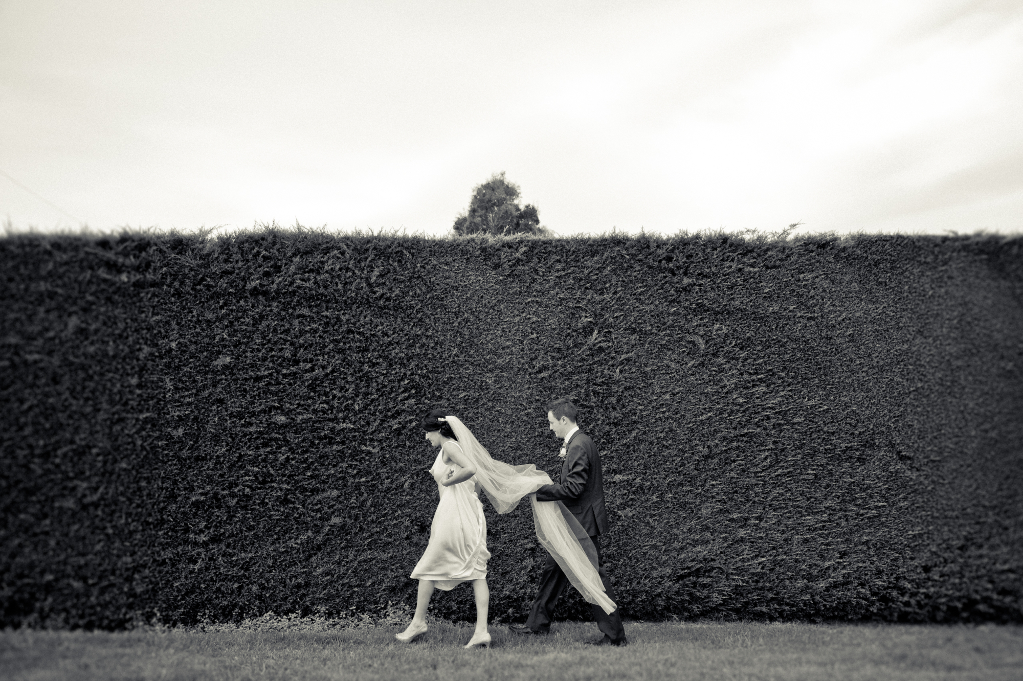 <img alt="" src="/images/0/0/1/-/8/001-8612-ashburton-wedding-photography-5c5dbf8f.jpg?description" width="1280" height="853" style="--aspect-ratio: 2560/1707;" />